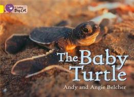 The Baby Turtle di Andy Belcher, Angie Belcher edito da HarperCollins Publishers