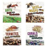 Amazing Animal Colonies di Karen Kenney, Sara Lynn Latta, Rebecca Stefoff edito da CAPSTONE PR