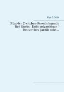 3 Lands - 2 witches - Reveals legends - Red Storks- Dolls polygothique- Des sorciers parmis nous... di Illya C. Colin edito da Books on Demand