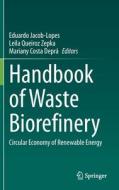 Handbook of Waste Biorefinery edito da Springer International Publishing