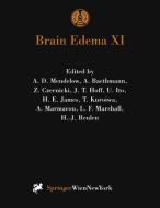 Brain Edema XI edito da Springer Vienna