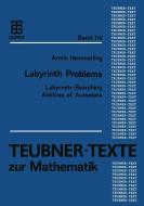 Labyrinth Problems di Armin Hemmerling edito da Vieweg+Teubner Verlag