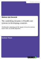 The underlying dynamics of health care systems in developing countries. di Mukasa Aziz Hawards edito da GRIN Publishing