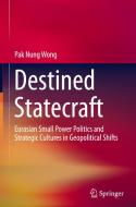 Destined Statecraft di Pak Nung Wong edito da Springer