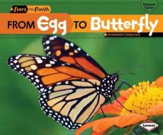 From Egg to Butterfly di Shannon Zemlicka edito da LERNER PUB GROUP