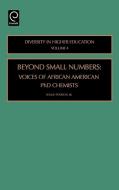 Beyond Small Numbers di Willie Jr. Pearson, Jr. Pearson edito da Emerald Group Publishing Limited