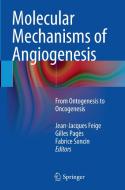 Molecular Mechanisms of Angiogenesis edito da Springer Paris
