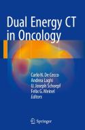 Dual Energy CT in Oncology edito da Springer-Verlag GmbH