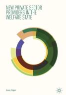 New Private Sector Providers in the Welfare State di Jonas Pieper edito da Springer-Verlag GmbH