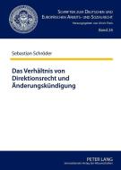 Das Verhältnis von Direktionsrecht und Änderungskündigung di Sebastian Schröder edito da Lang, Peter GmbH