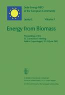 Energy from Biomass edito da Springer Netherlands
