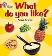 What Do You Like? di Anna Owen edito da HarperCollins Publishers