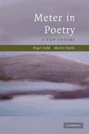 Meter in Poetry di Nigel Fabb edito da Cambridge University Press