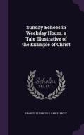 Sunday Echoes In Weekday Hours. A Tale Illustrative Of The Example Of Christ di Frances Elizabeth G Carey- Brock edito da Palala Press