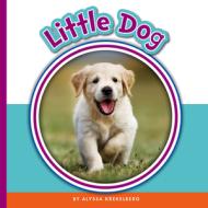 Little Dog di Alyssa Krekelberg edito da CHILDS WORLD