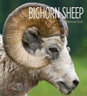 Bighorn Sheep di Melissa Gish edito da CREATIVE CO