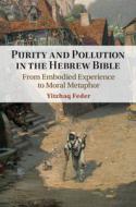 Purity And Pollution In The Hebrew Bible di Yitzhaq Feder edito da Cambridge University Press