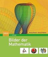Bilder Der Mathematik di Georg Glaeser, Konrad Polthier edito da Spektrum Akademischer Verlag