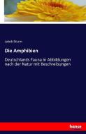 Die Amphibien di Jakob Sturm edito da hansebooks