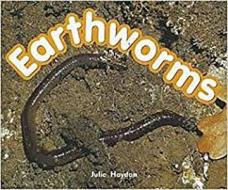 Rigby Focus Early Fluency: Leveled Reader Bookroom Package Nonfiction (Levels I-N) Earthworms di Rigby edito da Rigby