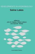Saline Lakes di John M. Melack edito da Springer Netherlands