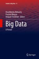 Big Data edito da Springer, India, Private Ltd