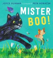 Mister Boo! di Joyce Dunbar edito da Walker Books Ltd