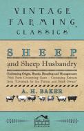 Sheep and Sheep Husbandry - Embracing Origin, Breeds, Breeding and Management; With Facts Concerning Goats - Containing  di A. H. Baker edito da BARBER PR