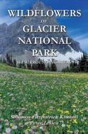 Wildflowers of Glacier National Park and Surrounding Areas di Shannon Kimball, Peter Lesica edito da MOUNTAIN PR
