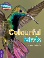 Colourful Birds Purple Band di Claire Llewellyn edito da CAMBRIDGE