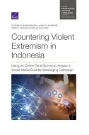 Countering Violent Extremism Ipb di Elizabeth Bodine-Baron, James V. Marrone, Todd C. Helmus edito da Rand Corporation