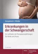 Erkrankungen in der Schwangerschaft di Gerhard Grospietsch, Klaus Mörike edito da Wissenschaftliche