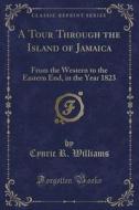 A Tour Through The Island Of Jamaica di Cynric R Williams edito da Forgotten Books