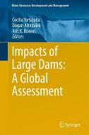 Impacts of Large Dams: A Global Assessment edito da Springer Berlin Heidelberg