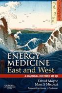 Energy Medicine East and West di David F. Mayor, Marc S. Micozzi edito da Elsevier Health Sciences