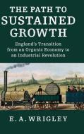 The Path to Sustained Growth di E. A. Wrigley edito da Cambridge University Press