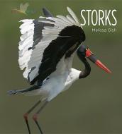 Storks di Melissa Gish edito da CREATIVE CO