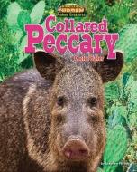 Collared Peccary: Cactus Eater di Stephen Person edito da BEARPORT PUB CO INC