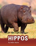 Hippos di Jaclyn Jaycox edito da PEBBLE BOOKS
