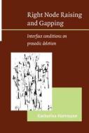 Right Node Raising And Gapping di Katharina Hartmann edito da John Benjamins Publishing Co