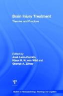 Brain Injury Treatment di Jose Leon-Carrion, George A. Zitnay, Klaus R. H. von (University of Munster Wild edito da Taylor & Francis Ltd
