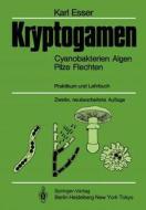 Kryptogamen: Cyanobakterien Algen Pilze Flechten Praktikum Und Lehrbuch di Karl Esser, H. -J Rathke edito da Springer