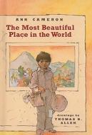The Most Beautiful Place in the World di Ann Cameron edito da Perfection Learning
