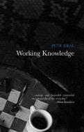 Working Knowledge di Petr Kral edito da PUSHKIN PR