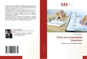 Précis de comptabilité financière di Martial Mendomo edito da Éditions universitaires européennes