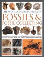 The An Illustrated Reference To Over 400 Plant And Animal Fossils From Around The Globe And How To Identify Them, With Over 1000 Photographs And Artwo di Steve Parker edito da Anness Publishing