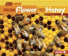 From Flower to Honey di Robin Nelson edito da LERNER CLASSROOM