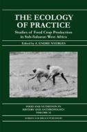 Ecology of Practice di Nyerges edito da Routledge