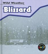 Blizzard di Catherine Chambers edito da Heinemann Educational Books