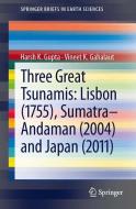 Three Great Tsunamis: Lisbon (1755), Sumatra-Andaman (2004) and Japan (2011) di Harsh K. Gupta, Vineet K. Gahalaut edito da Springer-Verlag GmbH